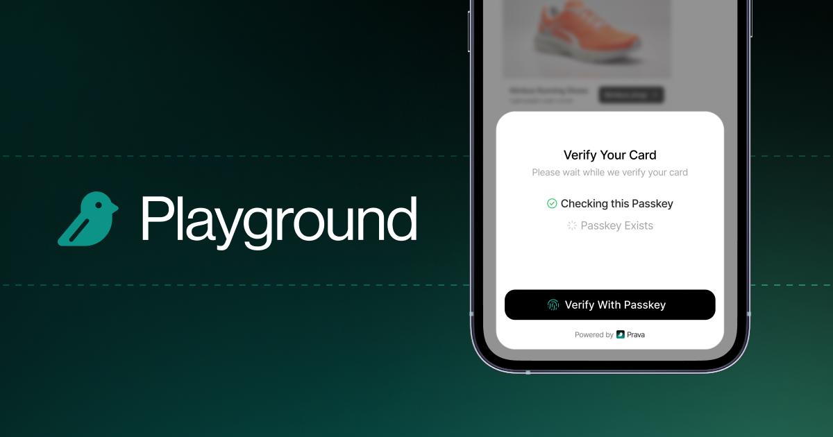 playground.prava.space image